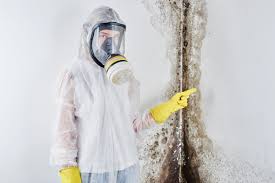 Mold Remediation for Rental Properties in Eden, TX